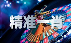 中国2024年4949澳门精准免费大全