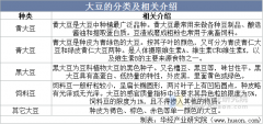<strong>2025年中国大豆行业</strong>